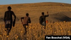 شمار زیاد افغان‌ها با در پیش گرفتن راه‌های دشوار به گونۀ غیرقانونی از ایران وارد ترکیه می‌شوند