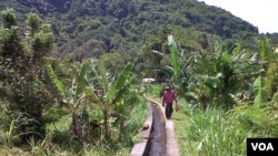 Sistem pengairan persawahan di salah satu Subak di Bali (foto: Muliarta).