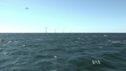 Climate Scientists Fear Trump Victory Will Freeze Global Warming Progress