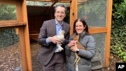 Ron and Allison Abta hold hens in front of their backyard chicken run in Ross, Calif., Dec. 15, 2020. (AP Photo/Terry Chea)