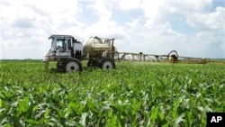 Seorang petani jagung di Illinois menyemprot ladangnya untuk membasmi tanaman penggangu (foto: dok).