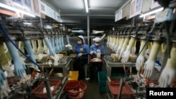 FILE - Workers collect rubber gloves at Top Glove's factory in Klang, outside Kuala Lumpur.