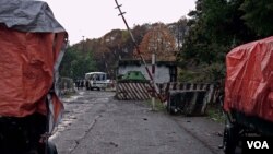 Viktorija Samarinaite-ს ფოტო