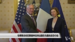 马蒂斯访问巴黎重申支持法国在马里的反恐行动
