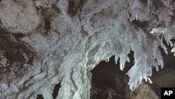 This photo by Dave Bunnell of the Chandelier Ballroom in Lechuguilla Cave shows him standing by the largest known gypsum stalactites in the world.