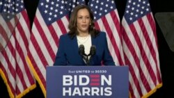 哈里斯做拜登的竞选伙伴被认为是历史性和安全的选择