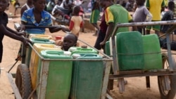 Les enfants contraints de quitter l'école pour travailler dans les mines d'or