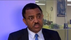 ድሕሪ ዑደት ቀ/ሚ ኣብይ ኣሕመድ ብዙሓት ኢትዮጵያዊያንን ንሃገሮም ንምሕጋዝ ምልዕዓል የርእዩ ኣለው ክብሉ ኣምባ. ካሳ ተክለብርሃነ ገሊጾም