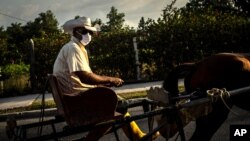 File - A farmer wearing a mask as a precaution against the spread of the new coronavirus drives his horse cart in the town La Gallega east of Havana, Cuba, April 21, 2020.