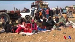 Xalqaro hayot - 20-iyun, 2017-yil