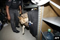 Al-Qoida AQSh temir yo’l tizimida xurujlar rejalagan