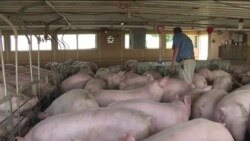 US-China Trade Tariffs