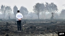 Presiden Joko Widodo ketika meninjau lahan yang terbakar di Pelalawan, Riau, 17 September 2019. (Foto: Biro Setpres via AFP)