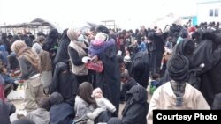 Women and children arrive at a reception area at al-Hol camp in northeast Syria, March 14, 2019. (Photo courtesy of International Rescue Committee)