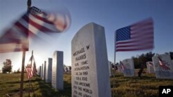 Arlington milliy qabristonida har bir qabr yoniga mitti bayroq qadaldi