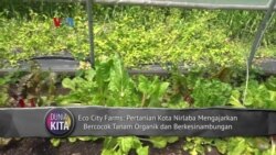 Dunia Kita: Berlatih Hidup Lebih Hijau dan Aktif Selama Ramadan