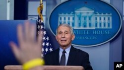 앤서니 파우치 미국 국립알러지전염병연구소 소장이 21일 백악관에서 열린 브리핑에서 기자들의 질문에 답하고 있다.