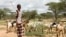 The people of northern Kenya have traditionally been pastoralists, since the land has long been considered too dry for farming, Nov. 28, 2014. (Hilary Heuler/VOA)