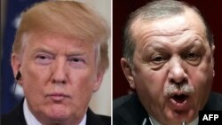 도널드 트럼프 미국 대통령과 레제프 타이이프 에르도안 터키 대통령.