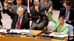 Permanent representatives from the United Kingdom, Mark Lyall Grant, left, and the United States, Susan Rice, right, vote to approve a resolution that will impose a no-fly zone over Libya during a meeting of the United Nations Security Council at UN headq