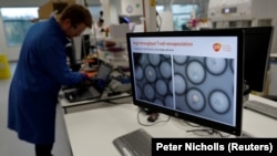 FILE PHOTO: A scientist studies cancer cells inside white blood cells through a microscope at the GlaxoSmithKline (GSK) research centre in Stevenage, Britain November 26, 2019.