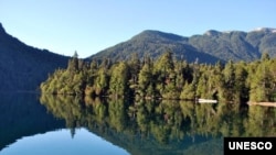 Contact with the natural world can be good for mental health. (Ricardo Villalba)