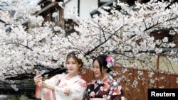 日本、中国、首尔的樱花与游客（32图）
