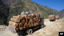 FILE - In this Jan. 23, 2011 photo released by Fauna & Flora International, April 1, 2014 for editorial use, trucks transport illegally logged timber to China in Sawlaw, northern Kachin State, Myanmar. 
