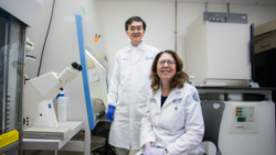 Shown in their laboratory are Dr. Se-Jin Lee and Emily Germain-Lee, who led the experiments that sent ‘mighty mice’ to the International Space Station. (Photo Courtesy of Jackson Laboratory)