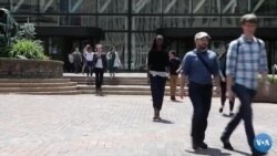 Immigrantlar nobud bo'lmoqda: Kim aybdor?