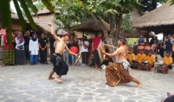Tari Perisaian, dipakai masyarakat Sasak pada zaman kerajaan untuk memilih pasukan perang, masih dilestarikan masyarakat Sasak Sade (Foto: VOA/ Petrus Riski).