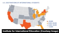 States with the most international students in the US.