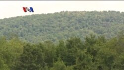 Menggiatkan Ternak Lebah Madu di Amerika