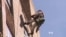 Company Gets Up Close and Personal With Skycrapers