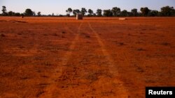 Kekeringan melanda negara bagian Queensland, Australia (foto: ilustrasi).