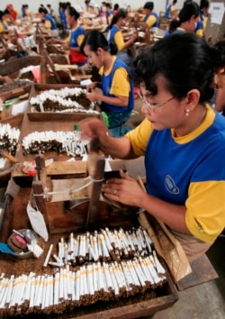 Pekerja melinting rokok di sebuah pabrik di Sidoarjo, Jawa Timur, 2 Februari 2009. (Foto: REUTERS/Sigit Pamungkas)