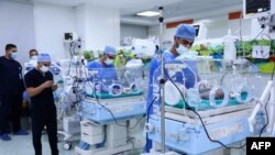 ۲۹ نوزاد نارس که از بیمارستان شفا در غزه به گذرگاه رفح منتقل شده بودند، روز دوشنبه ۲۹ آبان وارد قاهره، پایتخت مصر شدند.