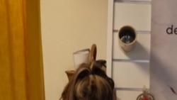 "Ada Pedas-Pedasnya," Floris di Paris Jual Bunga yang Bisa Dimakan