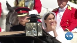 Race and the Royals: Meghan And Harry Interview Plunges Palace Into Crisis 