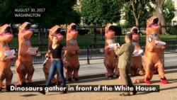 Dinosaurs Roam Washington in Budget Protest