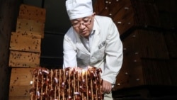 Quiz - China Explores the Benefits of Cockroaches