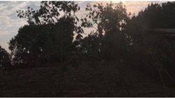 በምዕራብ ወለጋ በንፁሃን ዜጎች ላይ የተፈፀመው ግድያ