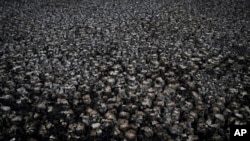 Cracks in the mud are visible in a dry wetland in Doñana natural park, southwest Spain, Wednesday, Oct. 19, 2022. Farming and tourism had already drained the aquifer. Then climate change hit Spain with record-high temperatures and a prolonged drought. (AP Photo/Bernat Armangue)
