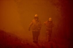 Firefighters tackle a bushfire in thick smoke in the town of Moruya, south of Batemans Bay, in New South Wales, Jan. 4, 2020.