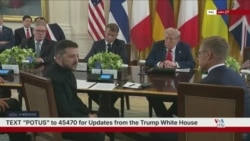 پوشش زنده | نشست دونالد ترامپ و رهبران اروپا در کاخ سفید برای پایان دادن به جنگ روسیه با اوکراین