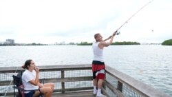 ປາຄໍ່: ໄພພິບັດຈາກສັດສາຍພັນຕ່າງ​ຖິ່ນ​ທີ່ຮຸກຮານ ທີ່ບໍ່ໄດ້ເກີດຂຶ້ນ