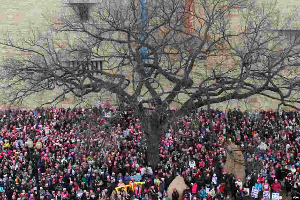 ក្បួន​ដង្ហែរ​ស្ត្រី​ឬ​ដែល​ហៅថា «Women's March‍» នៅ​ក្នុង​រដ្ឋធានី វ៉ាស៊ីនតោន កាលពី​ថ្ងៃទី២១ ខែ​មករា ឆ្នាំ២០១៧។ (រូបថត​ដោយ ស្រេង លក្ខិណា/VOA Khmer)