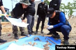 29일 국방부 6·25 전사자 유해발굴 감식단 관계자들이 속초시 영랑동 주차장 공사중 발견된 유골 6구 일부를 확인하고 있다.