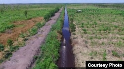 Kanal air membelah lahan gambut di Kalimantan Tengah. (Nordin/Save Our Borneo)