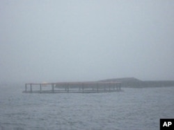 Eight large circular pens, covered with netting to keep out seabirds, make up the Cod farm off the coast of Sorrento, Maine.